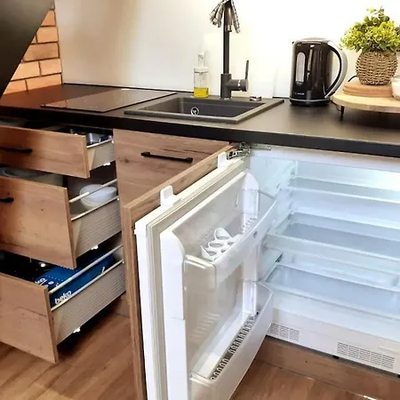 شقة Loft Old Town - G47 كراكوفيا